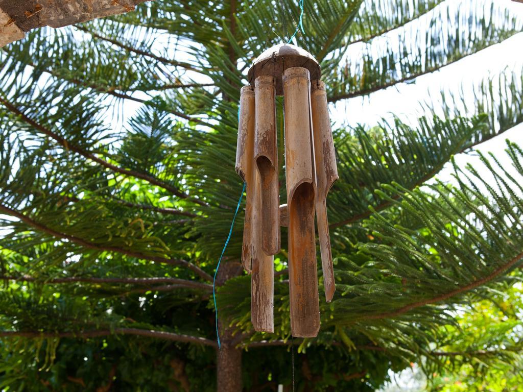 Alonissos Muses Villas Kalamakia エクステリア 写真