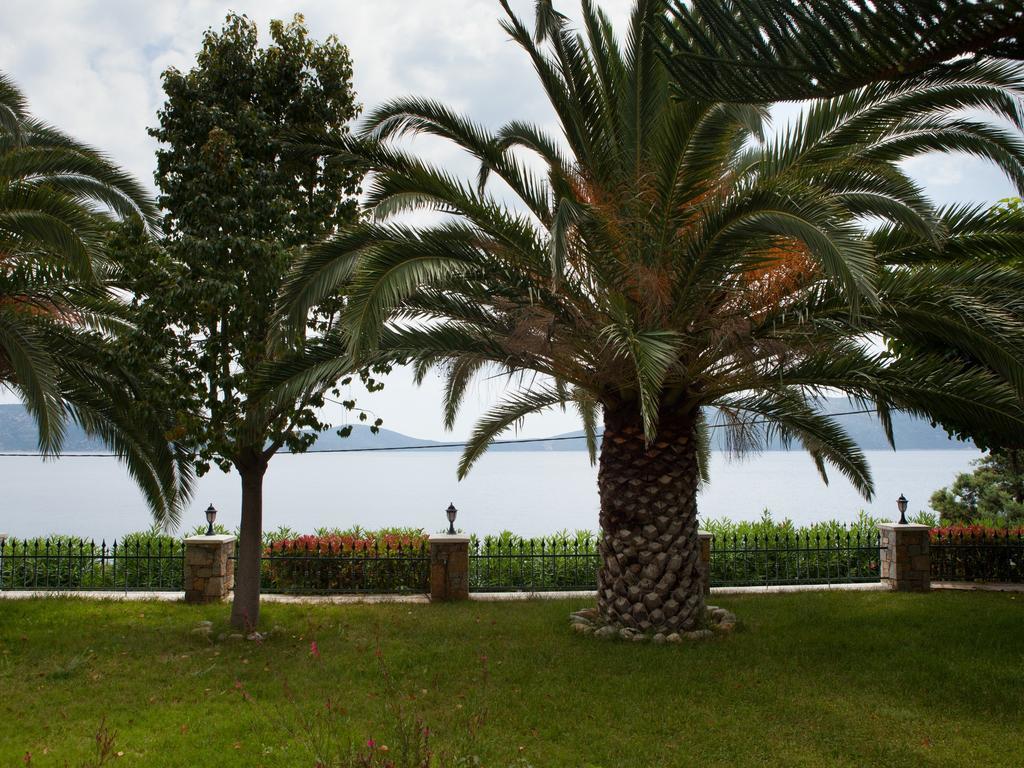 Alonissos Muses Villas Kalamakia エクステリア 写真