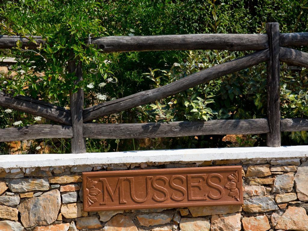 Alonissos Muses Villas Kalamakia エクステリア 写真