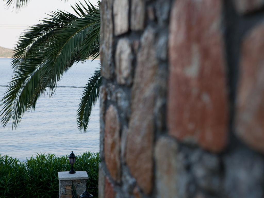 Alonissos Muses Villas Kalamakia エクステリア 写真